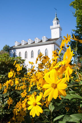 Kirtland Temple Notecard 5 Pack